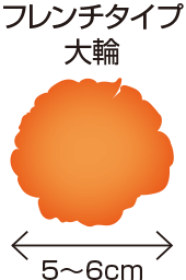 フレンチタイプ 大輪 5~6cm