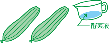 酵素液を入れる