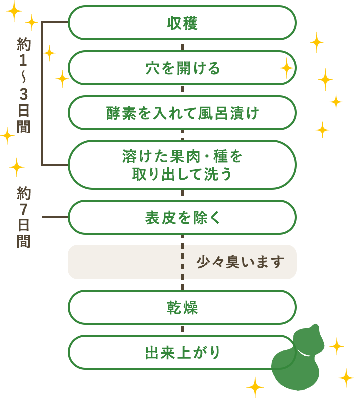 1.収穫、2.穴を開ける、3.酵素を入れて風呂漬け、4.溶けた果肉・種を取り出して洗う、5.表皮を除く、6.乾燥、7.出来上がり 1~4まで約1~3日間 5で約7日間 5~6で少々臭います