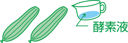 酵素液を入れる