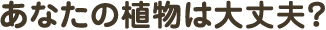 あなたの植物は大丈夫？