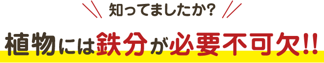 知ってましたか？植物には鉄分が必要不可欠！！