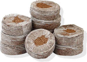 ジフィーセブンCの写真