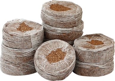 ジフィーセブンCの写真