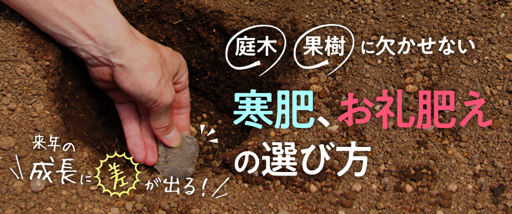 庭木・果樹に欠かせない寒肥、お礼肥えの選び方