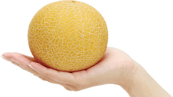 手のひらサイズ！