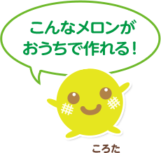 こんなメロンがおうちで作れる！