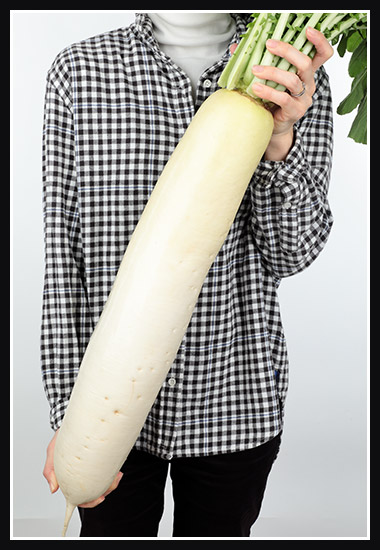 強力大根を抱えている