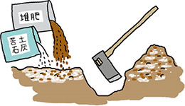 堆肥と苦土石灰を巻いて耕す