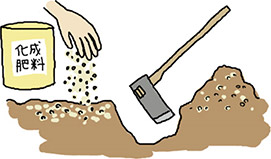 化成肥料を巻いて耕す