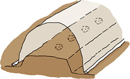 防虫ネットなどをトンネル掛けする