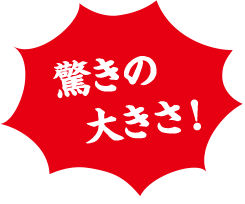驚きの大きさ!