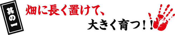 其の一 畑に長く置けて、大きく育つ!!
