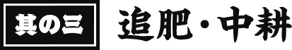 其の三 追肥・中耕