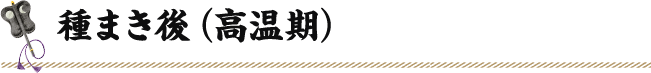 種まき後(高温期)