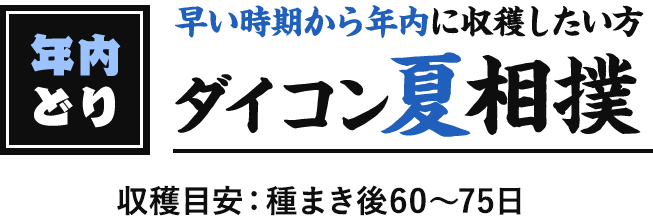 年内どり 早い時期から年内に収穫したい方 ダイコン夏相撲 収穫目安:種まき後60~75日