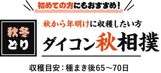 秋冬どり 秋から年明けに収穫したい方 ダイコン秋相撲 収穫目安:種まき後60~75日