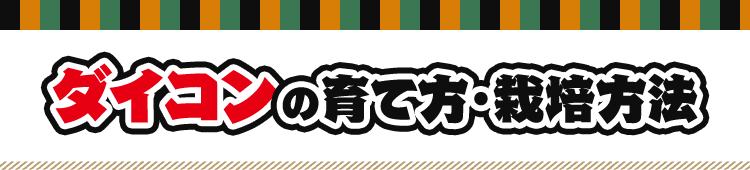 ダイコンの育て方・栽培方法