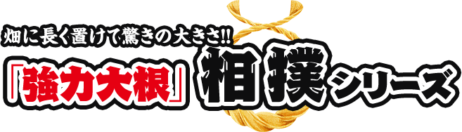 畑に長く置けて驚きの大きさ!!「強力大根」相撲シリーズ