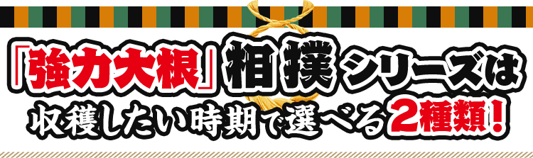 「強力大根」相撲シリーズは収穫したい時期で選べる2種類!