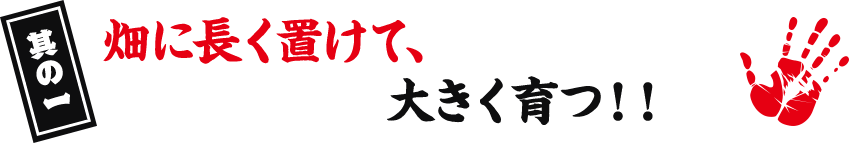 其の一 畑に長く置けて、大きく育つ!!