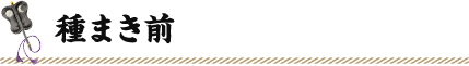 種まき前