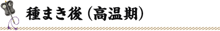 種まき後(高温期)