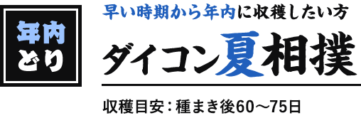 年内どり 早い時期から年内に収穫したい方 ダイコン夏相撲 収穫目安:種まき後60~75日