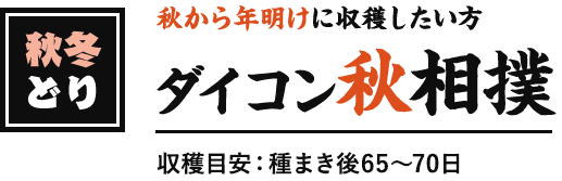 秋冬どり 秋から年明けに収穫したい方 ダイコン秋相撲 収穫目安:種まき後60~75日