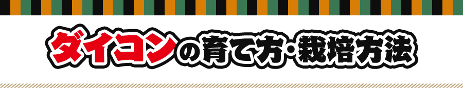 ダイコンの育て方・栽培方法
