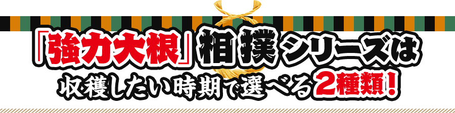 「強力大根」相撲シリーズは収穫したい時期で選べる2種類!