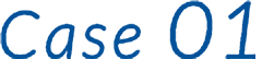 case01