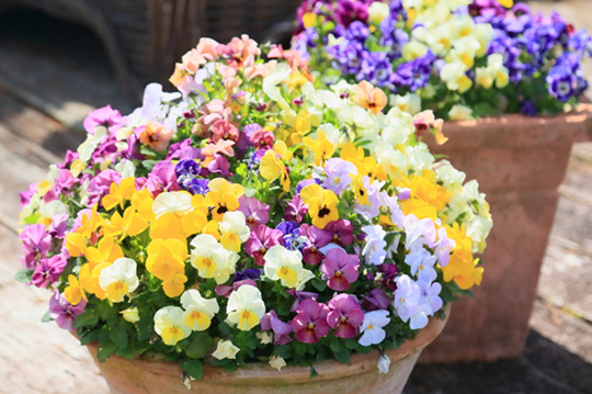 レビューイメージ写真