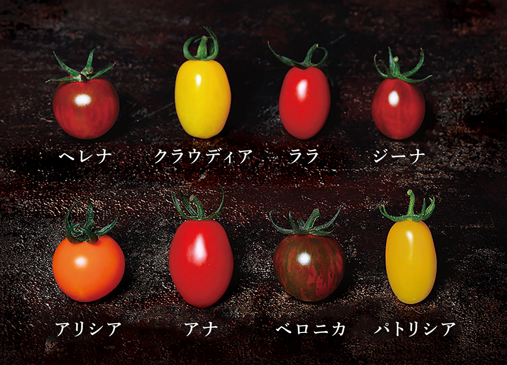 ヘレナ、クラウディア、ララ、ジーナ、アリシア、アナ、ベロニカ、パトリシア