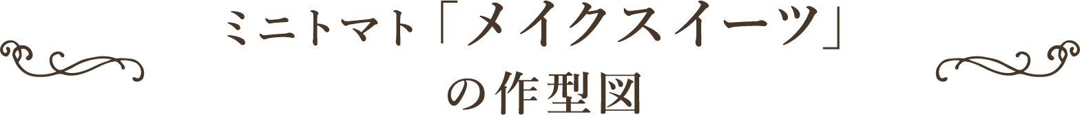 ミニトマト「メイクスイーツ」の作型図