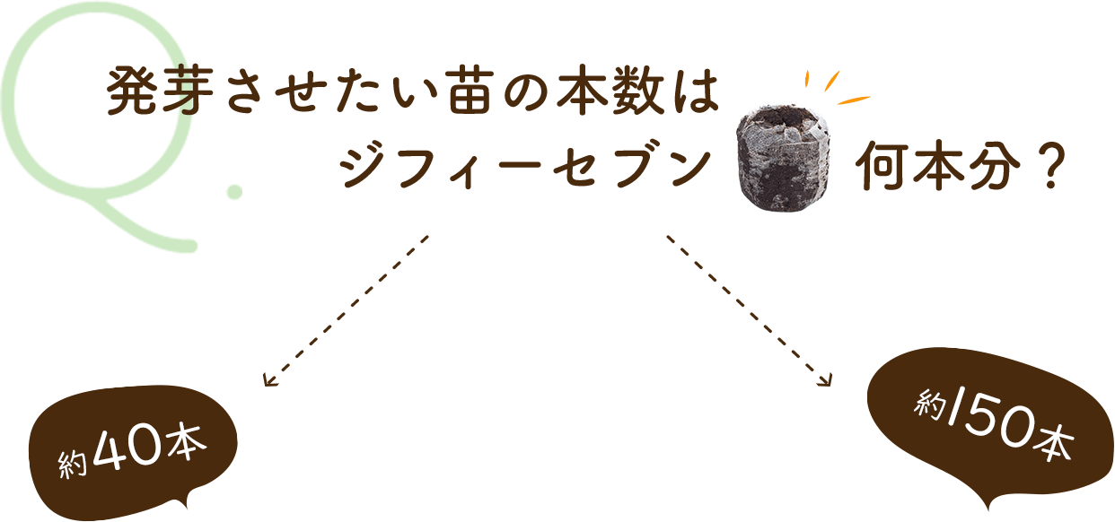 発芽させたい苗の本数はジフィーセブン何本分? 約40本 ⇒ 愛・菜・花 / 約150本 ⇒ ひなたぼっこ