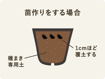 苗作りをする場合