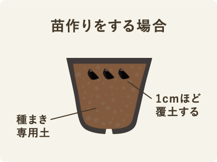 苗作りをする場合