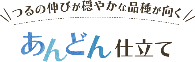 つるの伸びが穏やかな品種が向く あんどん仕立て