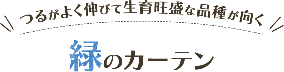 つるの伸びて生育旺盛な品種が向く 緑のカーテン