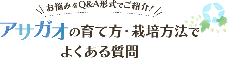 お悩みをQ&A形式でご紹介！アサガオの育て方・栽培方法でよくある質問