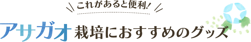 これがあると便利！アサガオ栽培におすすめのグッズ