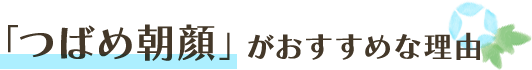「つばめ朝顔」がおすすめな理由