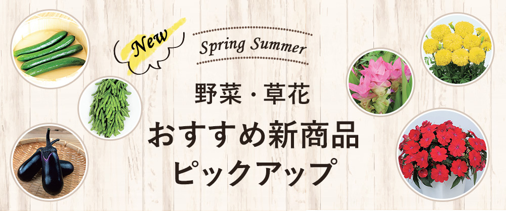 野菜・草花(種・苗・球根)春のおすすめ新商品ピックアップ