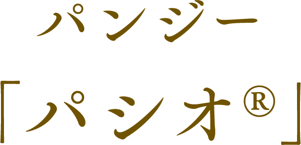 パンジー「パシオ」