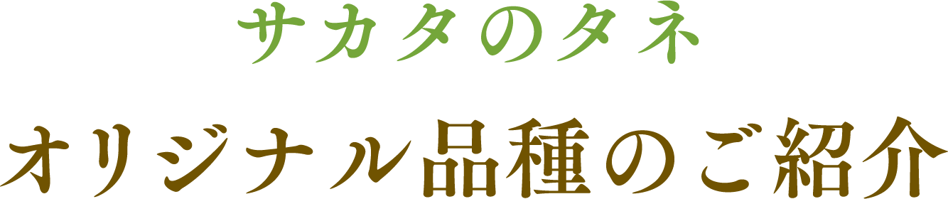 サカタのタネ オリジナル品種のご紹介