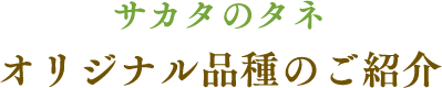 サカタのタネ オリジナル品種のご紹介