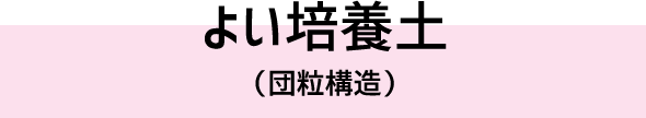 よい培養土(団粒構造)