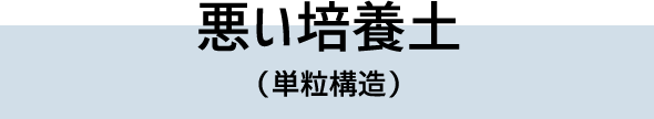 悪い培養土(単粒構造)