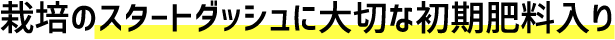 植物のスタートダッシュに大切な初期肥料入り